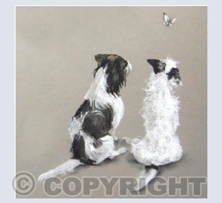 Watching the world go by