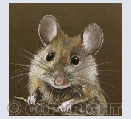 Morsicus the Mouse