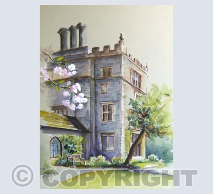 Turton Tower in Blossom