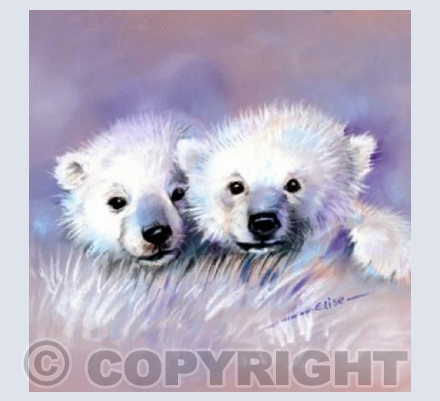 'Snow Brothers'
