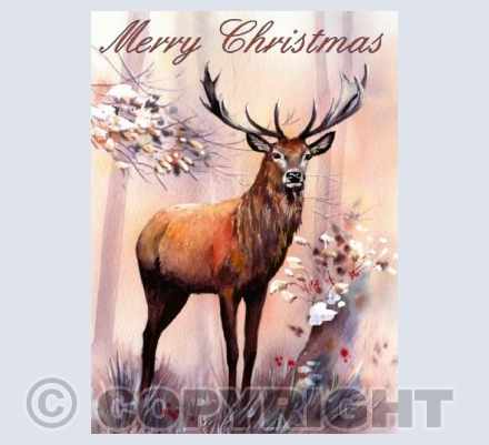 Christmas Stag