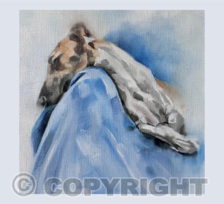 Armchair Snooze