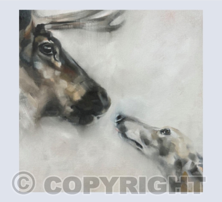 Santas little helper