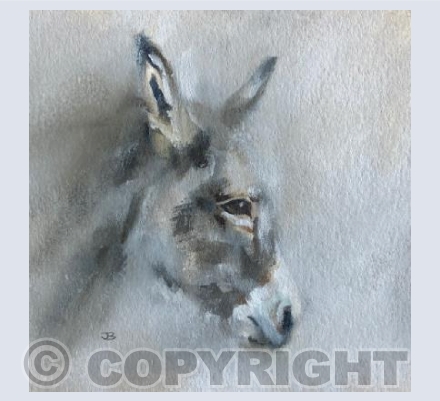 Little donkey
