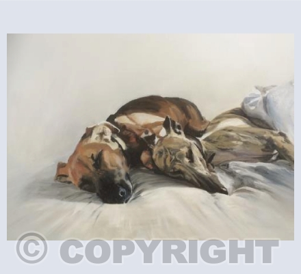 Cuddles