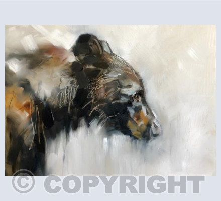 Black bear