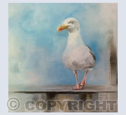 Gull