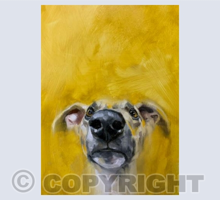 Yellow Woody