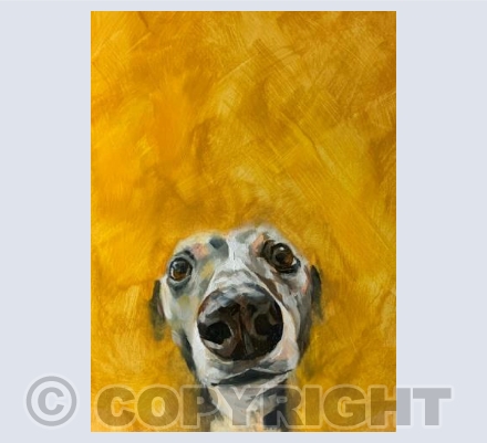 Bumblebee Bella