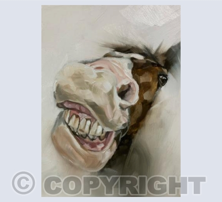 Say Cheese