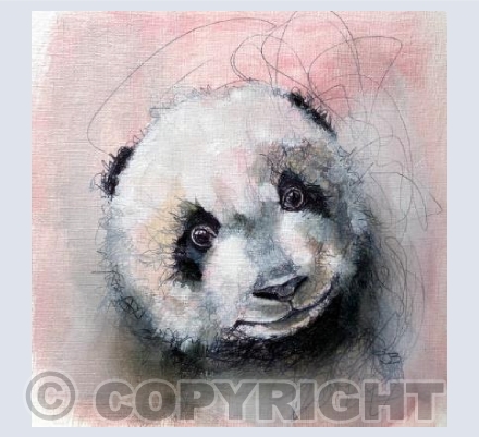 Baby panda