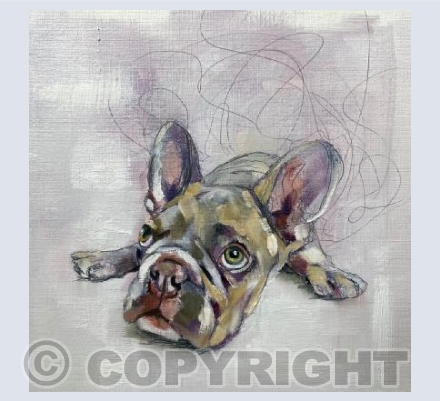 Frenchie
