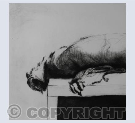 Still Life with Sparrowhawk & Blue Tit