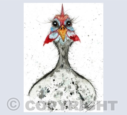 Guinea fowl