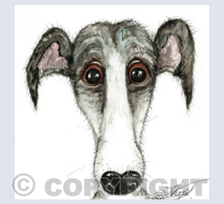 steel  greyhound