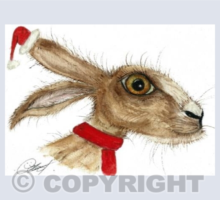 Christmas Hare 