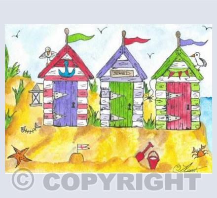 beach hut shed 