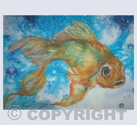 gold fish