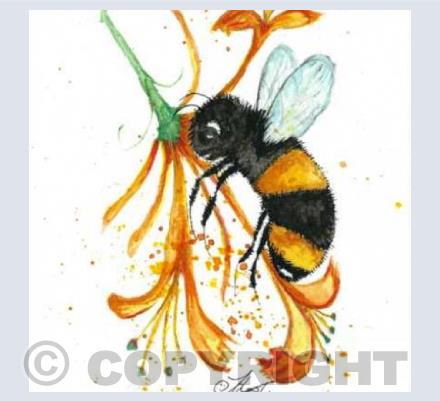 bee & honeysuckle
