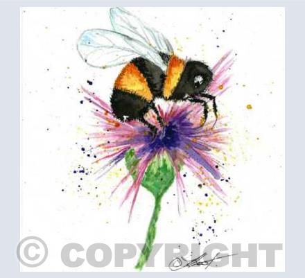 bee & thistle