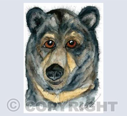 BEAR 2