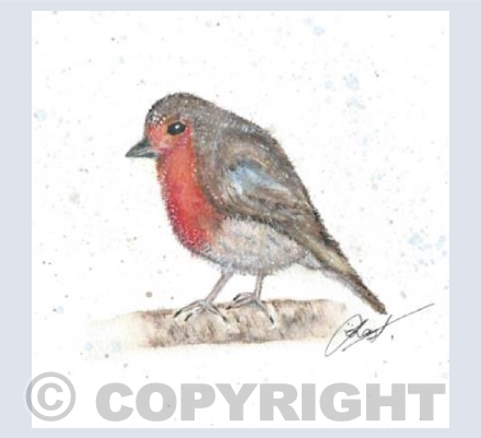 Mr Robin 
