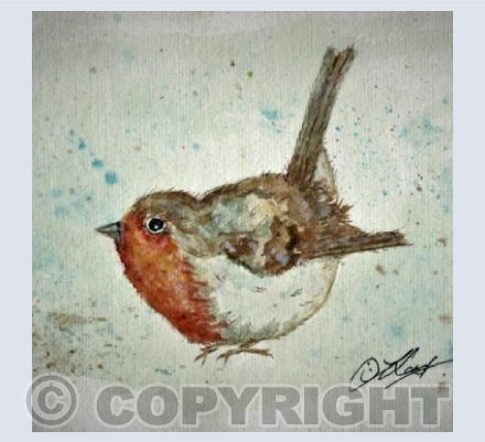 Robin eating crumbs