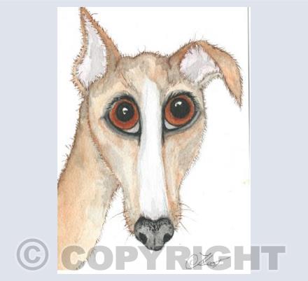 'who me' Greyhound