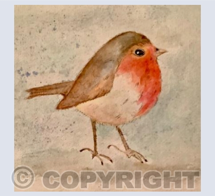 Robin 2