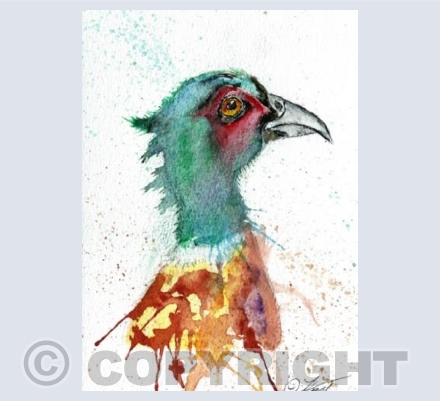 pheasant