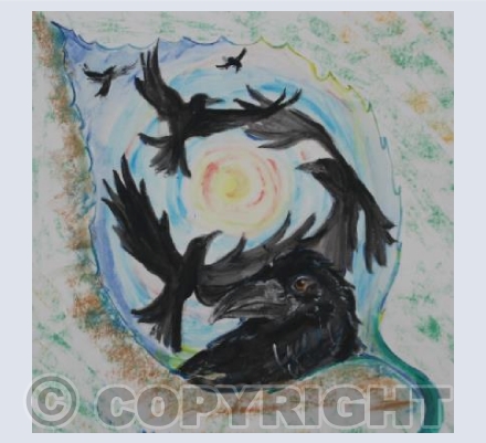 Crows
