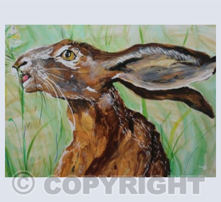 Summer Hare