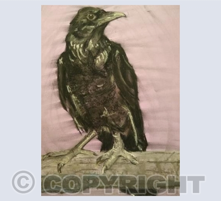 Crow/Raven