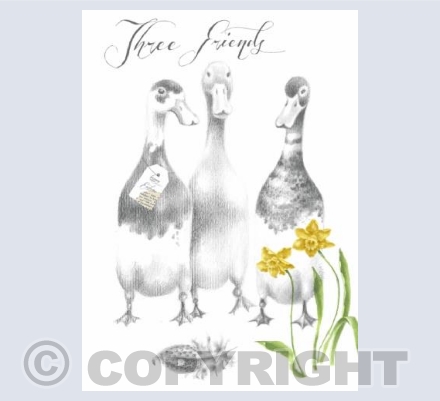 Three Friends