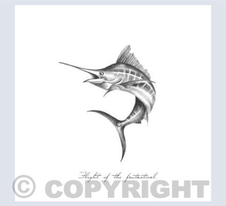 Flight Of The Fantastical