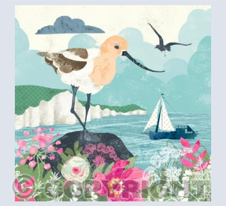 The Sandpiper & The Sail Boat