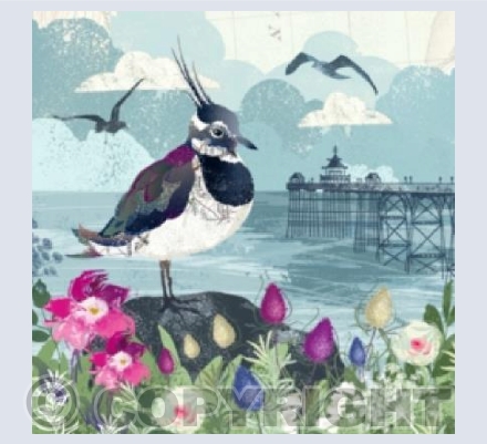 Clevedon Pier & The Lapwing