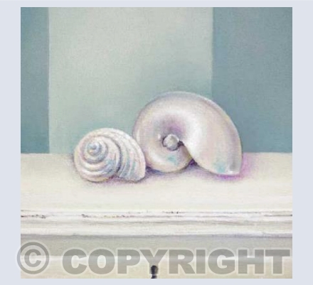 Nautilus