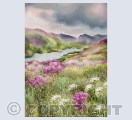 Heather Mist 