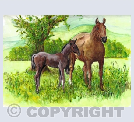 Mother and Foal