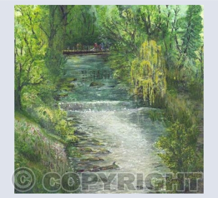 Summer Brook