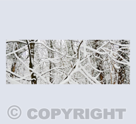 Snow On The Quantocks