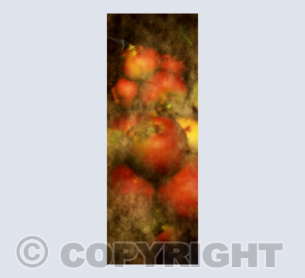 A Somerset Harvest