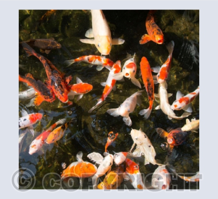 Swirling And Twirling