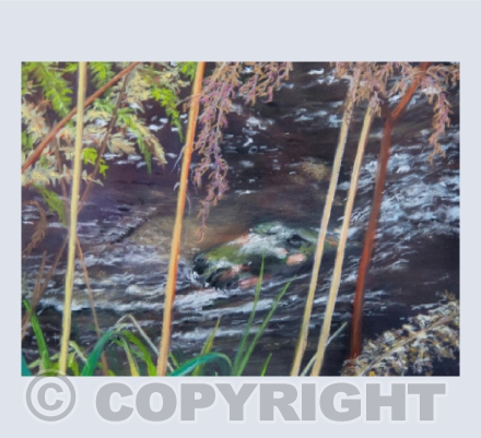 The Crocodile