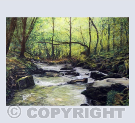 The Iconic Golitha Falls