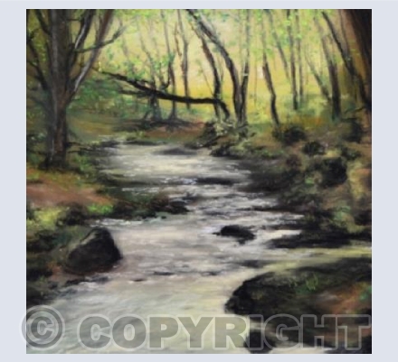 The Golitha Falls