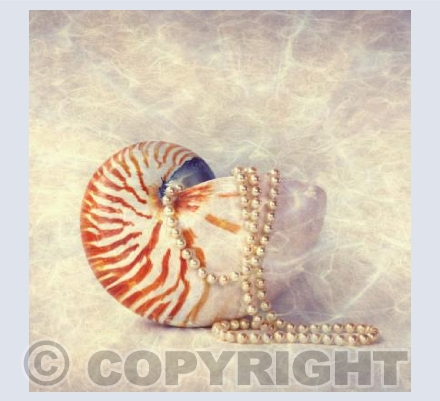 Treasures From The Sea