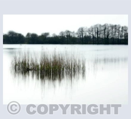The Calm Waters Of Westhay
