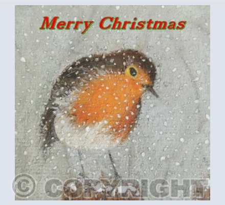 Christmas Robin
